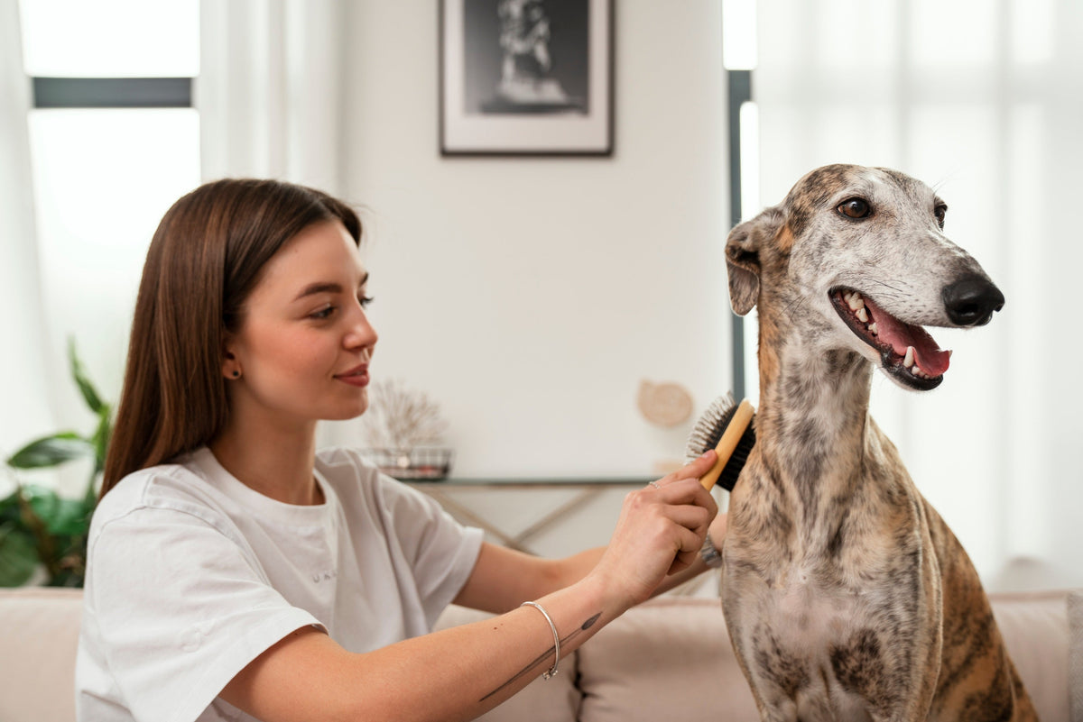 Pet Essentials